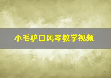 小毛驴口风琴教学视频