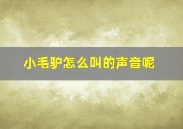 小毛驴怎么叫的声音呢