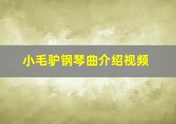 小毛驴钢琴曲介绍视频