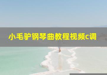 小毛驴钢琴曲教程视频c调