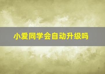 小爱同学会自动升级吗