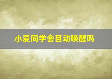 小爱同学会自动唤醒吗