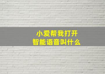 小爱帮我打开智能语音叫什么