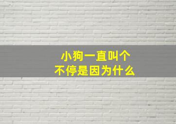 小狗一直叫个不停是因为什么