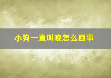 小狗一直叫唤怎么回事