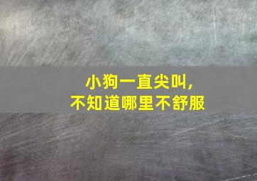 小狗一直尖叫,不知道哪里不舒服