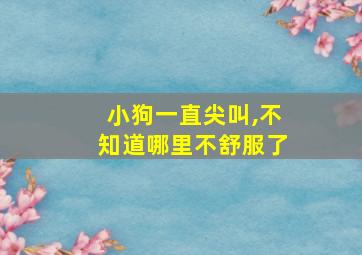 小狗一直尖叫,不知道哪里不舒服了