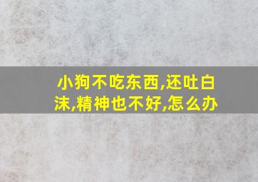 小狗不吃东西,还吐白沫,精神也不好,怎么办