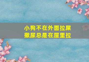 小狗不在外面拉屎撒尿总是在屋里拉