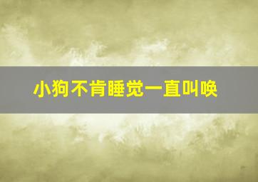 小狗不肯睡觉一直叫唤