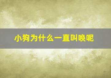 小狗为什么一直叫唤呢