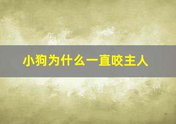 小狗为什么一直咬主人