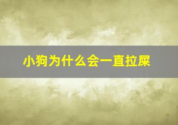 小狗为什么会一直拉屎