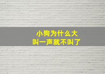 小狗为什么大叫一声就不叫了