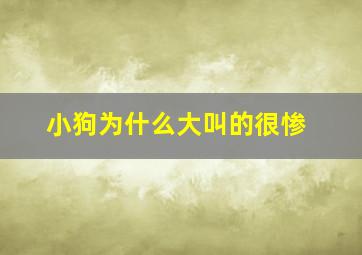 小狗为什么大叫的很惨