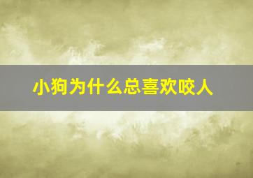 小狗为什么总喜欢咬人