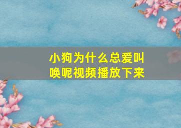 小狗为什么总爱叫唤呢视频播放下来