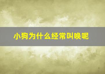 小狗为什么经常叫唤呢