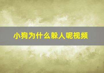 小狗为什么躲人呢视频