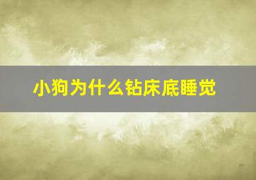 小狗为什么钻床底睡觉