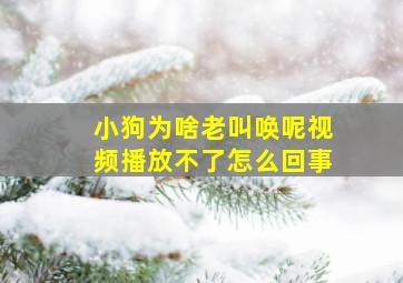 小狗为啥老叫唤呢视频播放不了怎么回事