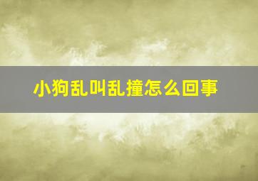 小狗乱叫乱撞怎么回事