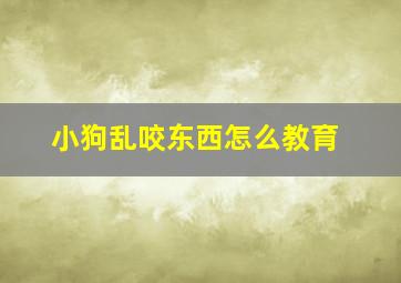 小狗乱咬东西怎么教育