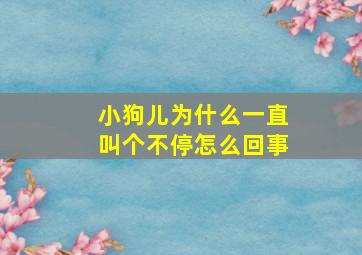 小狗儿为什么一直叫个不停怎么回事