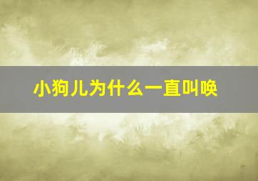 小狗儿为什么一直叫唤