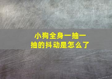 小狗全身一抽一抽的抖动是怎么了