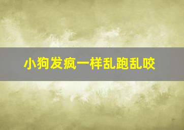 小狗发疯一样乱跑乱咬