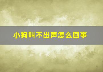 小狗叫不出声怎么回事