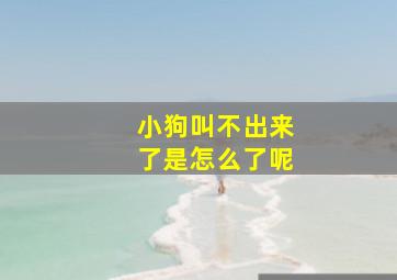 小狗叫不出来了是怎么了呢