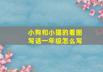 小狗和小猫的看图写话一年级怎么写