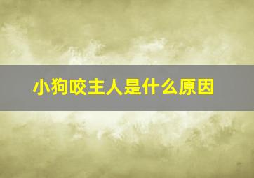 小狗咬主人是什么原因