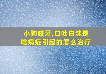 小狗咬牙,口吐白沫是啥病症引起的怎么治疗