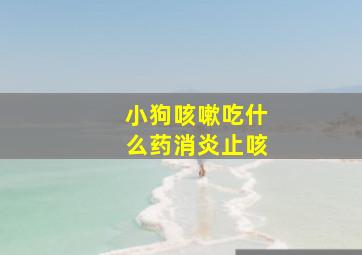 小狗咳嗽吃什么药消炎止咳