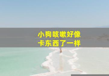 小狗咳嗽好像卡东西了一样