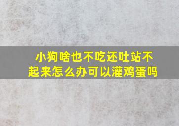 小狗啥也不吃还吐站不起来怎么办可以灌鸡蛋吗