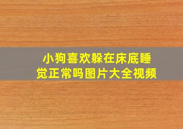 小狗喜欢躲在床底睡觉正常吗图片大全视频