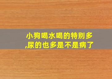 小狗喝水喝的特别多,尿的也多是不是病了