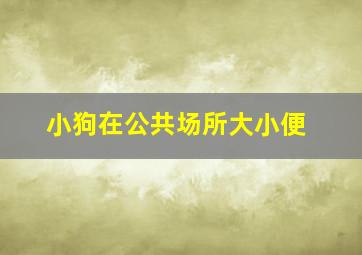 小狗在公共场所大小便