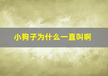 小狗子为什么一直叫啊