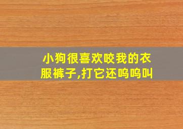 小狗很喜欢咬我的衣服裤子,打它还呜呜叫