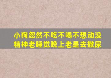 小狗忽然不吃不喝不想动没精神老睡觉晚上老是去撒尿