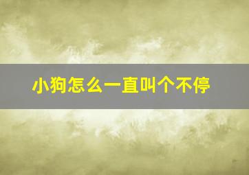 小狗怎么一直叫个不停