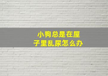 小狗总是在屋子里乱尿怎么办