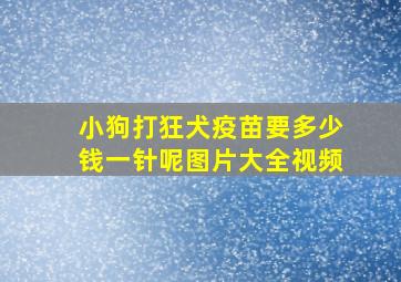 小狗打狂犬疫苗要多少钱一针呢图片大全视频