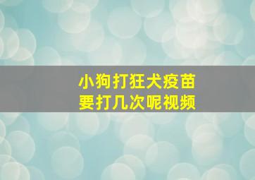 小狗打狂犬疫苗要打几次呢视频