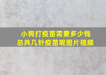 小狗打疫苗需要多少钱总共几针疫苗呢图片视频